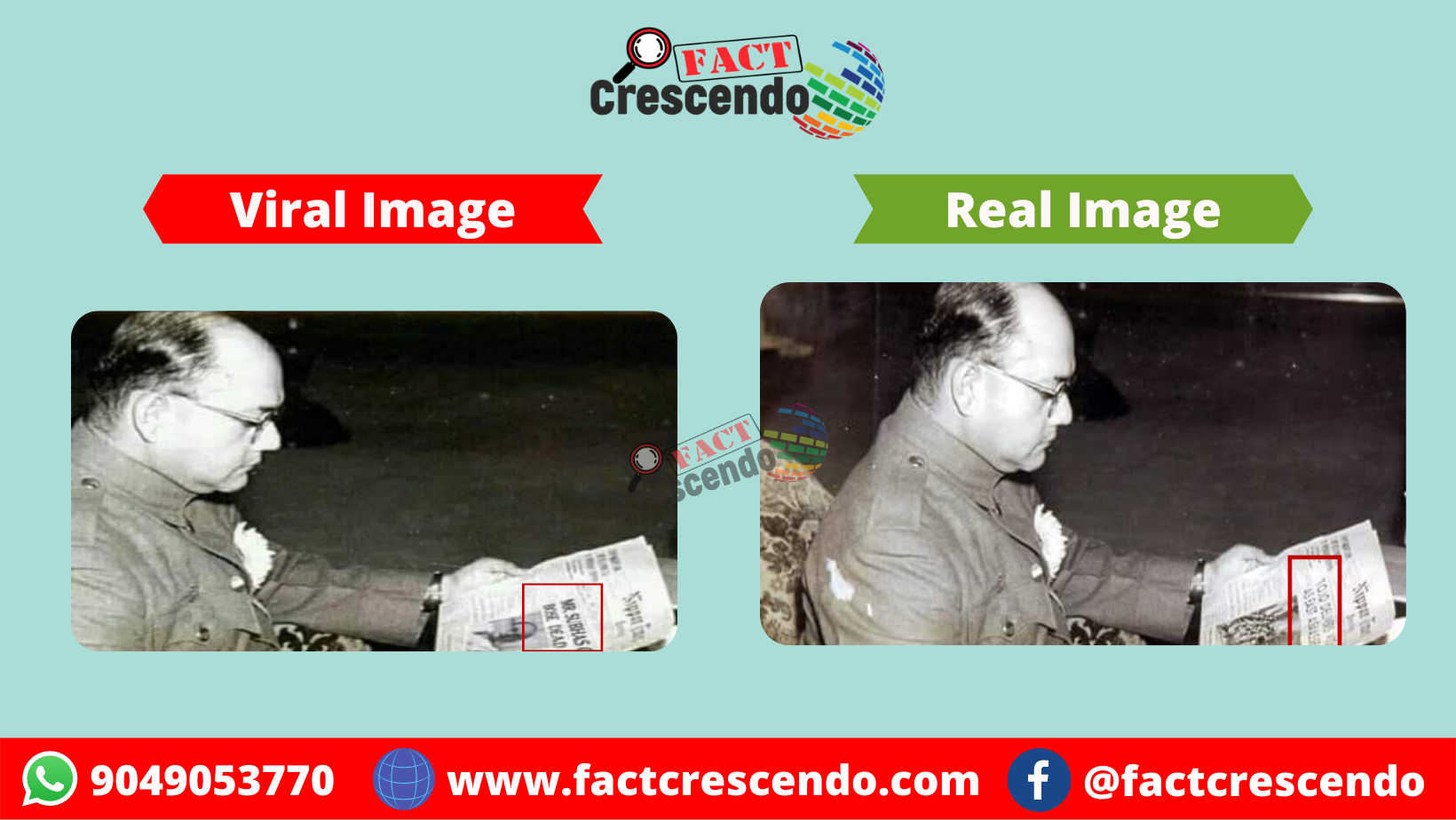 Copy of Horizontal Image Comparison.png