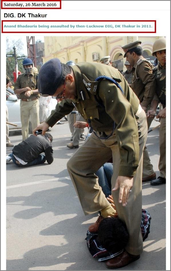 indian gooseberrries.jpg