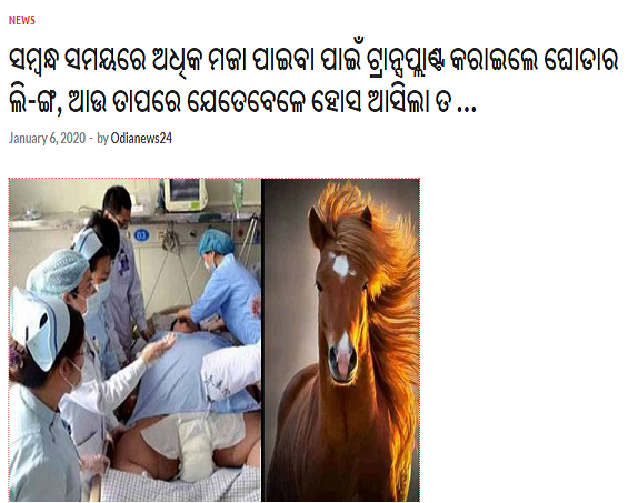 odia news 24.png