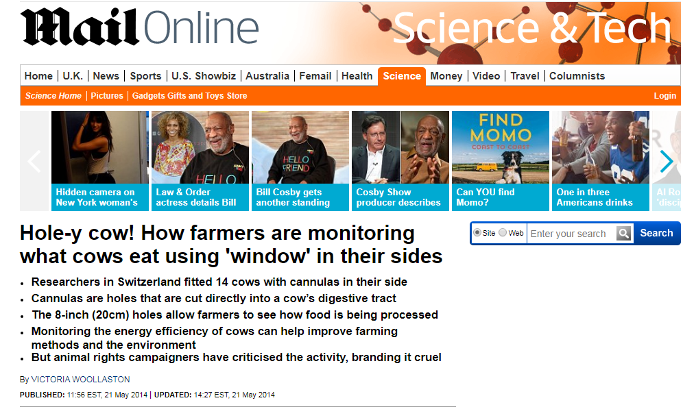 daily mail.png