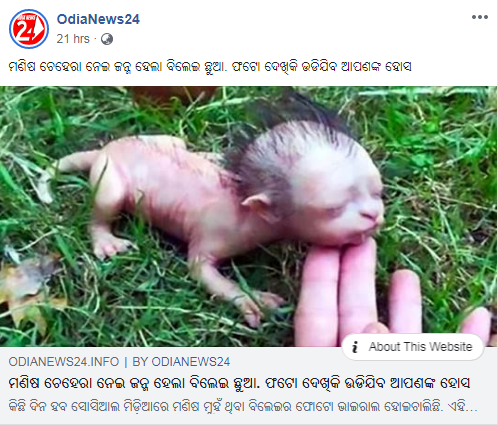 facebook.png