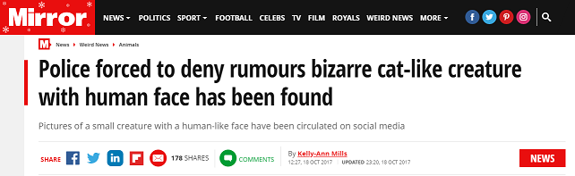mirror news.png