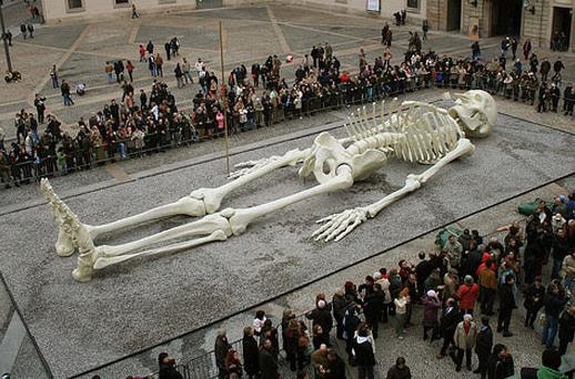huge skeleton.jpg