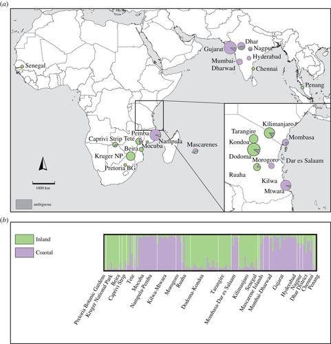 geographical distribution.jpg
