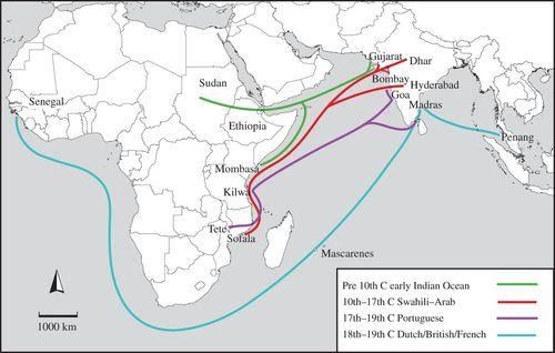 import of baobab.jpg